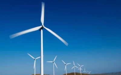 Articolo di approfondimento 2